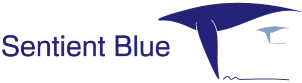 Partners › FRIENDSHIP SYSTEMS AG